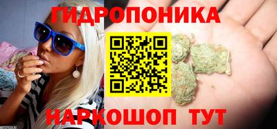 крисы Тосно
