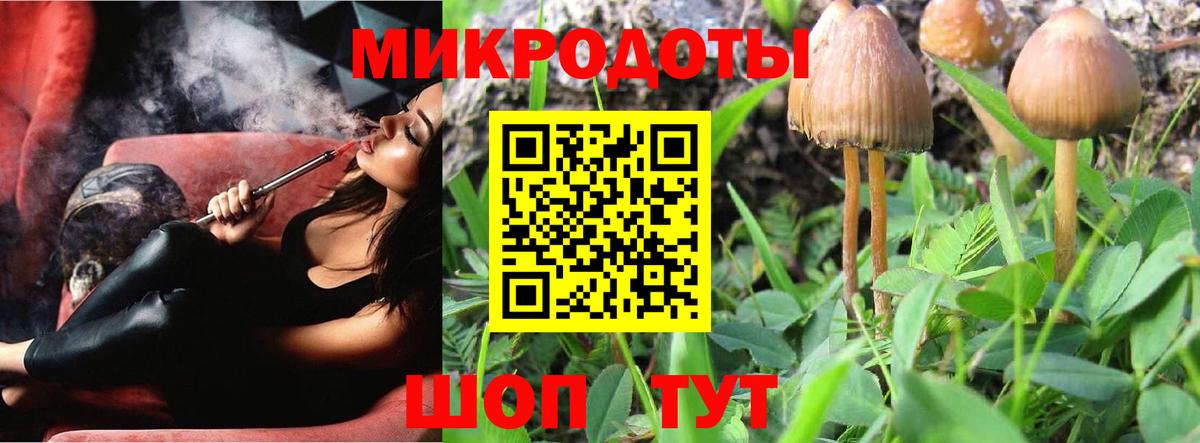 Артёмовский  Галлюциногенные грибы прущие грибы  Вход с VPN 